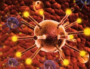 Το δημοφιλές τρόφιμο που εμείς το πετάμε ενώ μας προστατεύει από τον καρκίνο